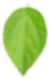 Dakol