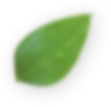 Dakol
